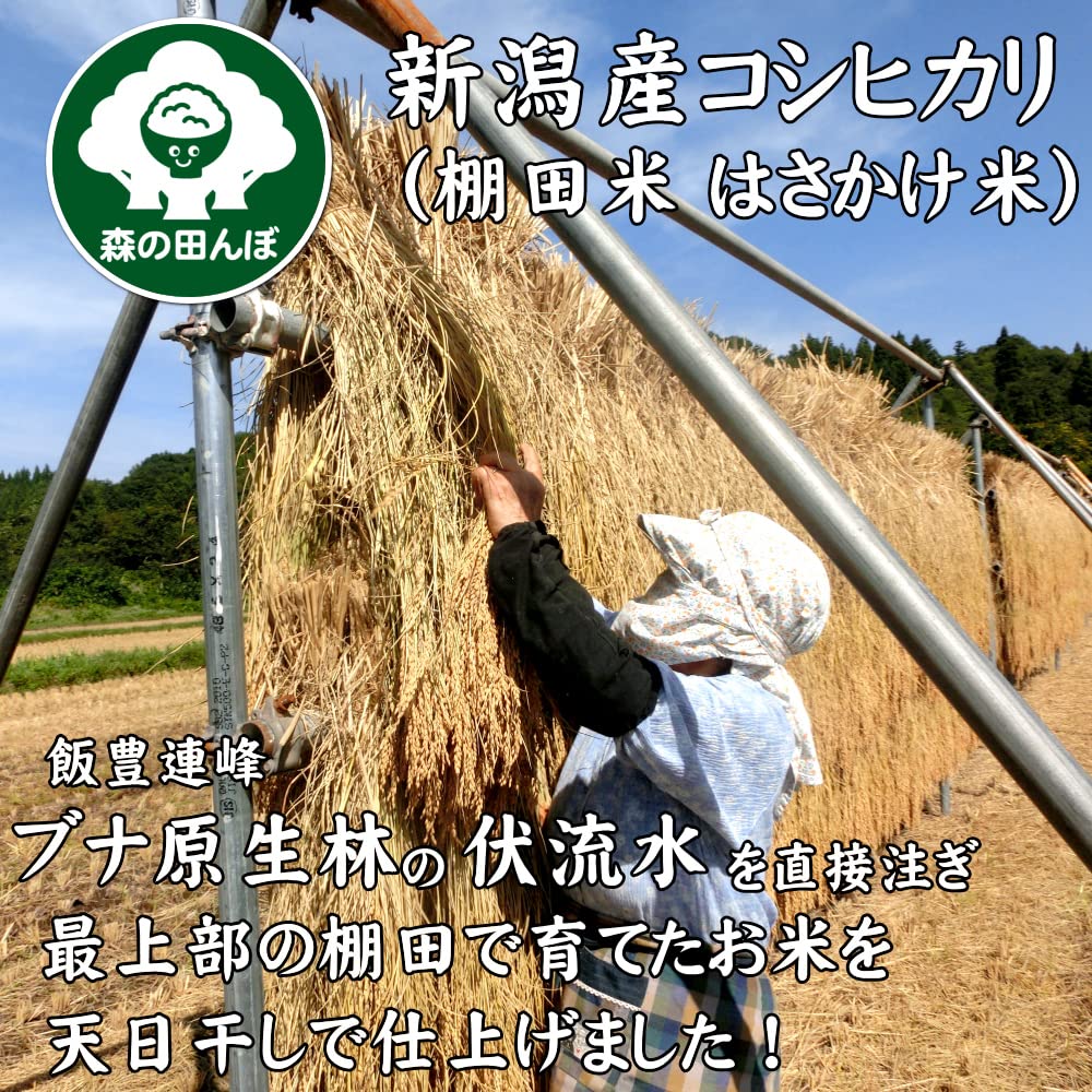 新潟県産天日干しコシヒカリ 新潟県産天日干しコシヒカリ